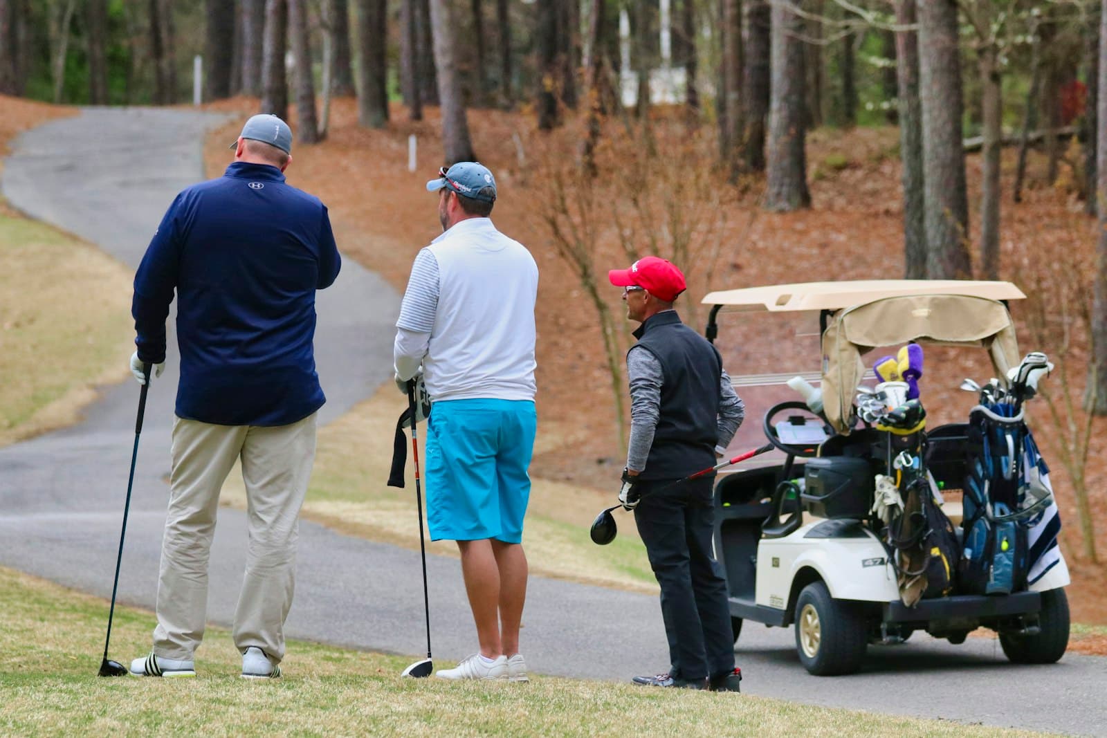 Three men in golf clothes standing beside a cart at the edge of a fairway, seen from behind, leaning on their clubs.